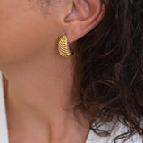 Striped Gold Bold Earrings