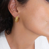 Striped Gold Bold Earrings