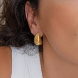 Striped Gold Bold Earrings