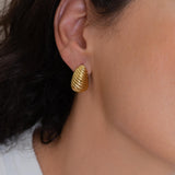 Striped Gold Bold Earrings