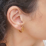 Classic Gold Medium Hoop Earrings