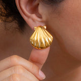 Gold Shell Stud Earrings